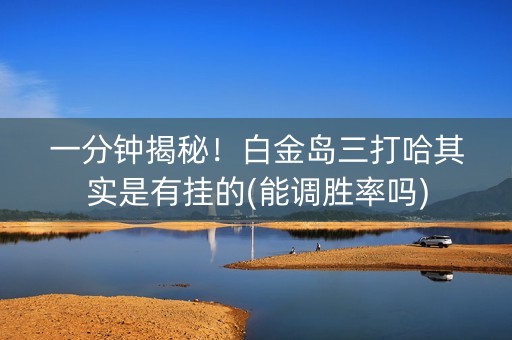 一分钟揭秘！白金岛三打哈其实是有挂的(能调胜率吗)