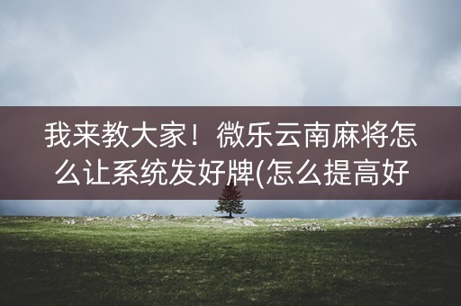 我来教大家！微乐云南麻将怎么让系统发好牌(怎么提高好牌几率)