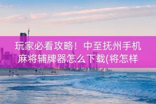 玩家必看攻略！中至抚州手机麻将辅牌器怎么下载(将怎样比较容易赢)