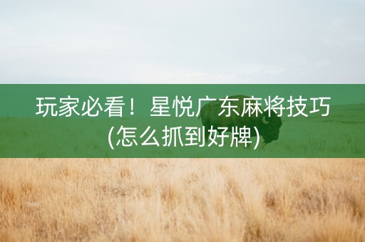 玩家必看！星悦广东麻将技巧(怎么抓到好牌)