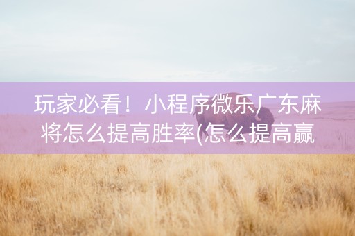 玩家必看！小程序微乐广东麻将怎么提高胜率(怎么提高赢牌率)