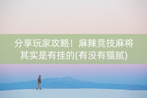 分享玩家攻略！麻辣竞技麻将其实是有挂的(有没有猫腻)