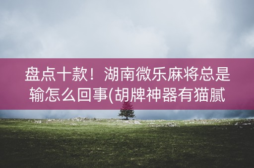 盘点十款！湖南微乐麻将总是输怎么回事(胡牌神器有猫腻吗)