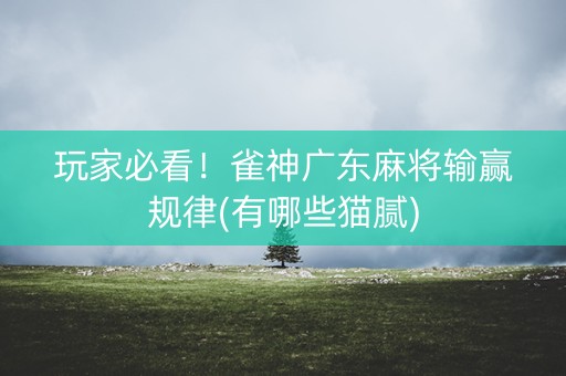 玩家必看！雀神广东麻将输赢规律(有哪些猫腻)