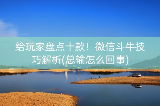 给玩家盘点十款！微信斗牛技巧解析(总输怎么回事)