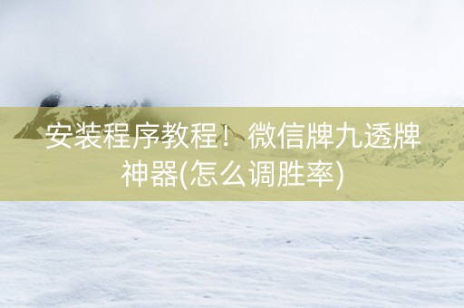 安装程序教程！微信牌九透牌神器(怎么调胜率)