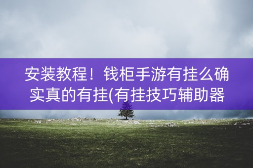安装教程！钱柜手游有挂么确实真的有挂(有挂技巧辅助器)