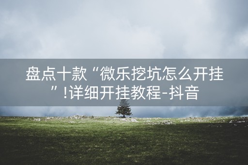 盘点十款“微乐挖坑怎么开挂”!详细开挂教程-抖音