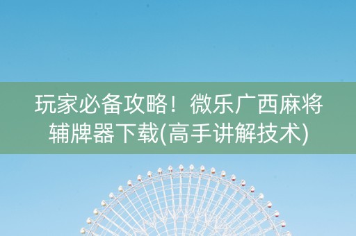 玩家必备攻略！微乐广西麻将辅牌器下载(高手讲解技术)