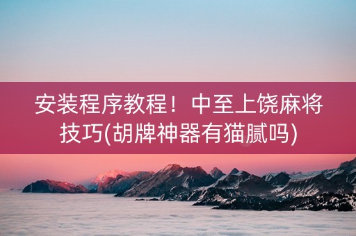 安装程序教程！中至上饶麻将技巧(胡牌神器有猫腻吗)