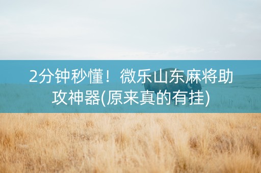 2分钟秒懂！微乐山东麻将助攻神器(原来真的有挂)