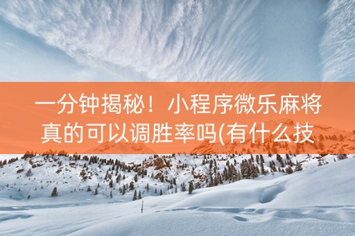 一分钟揭秘！小程序微乐麻将真的可以调胜率吗(有什么技巧)