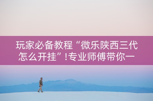 玩家必备教程“微乐陕西三代怎么开挂”!专业师傅带你一起了解（详细教程）-抖音