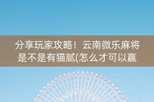 分享玩家攻略！云南微乐麻将是不是有猫腻(怎么才可以赢)