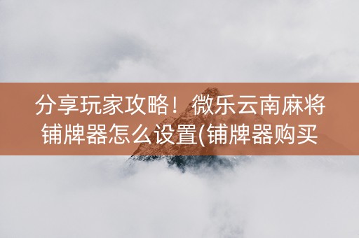 分享玩家攻略！微乐云南麻将铺牌器怎么设置(铺牌器购买)
