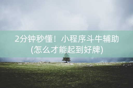 2分钟秒懂！小程序斗牛辅助(怎么才能起到好牌)