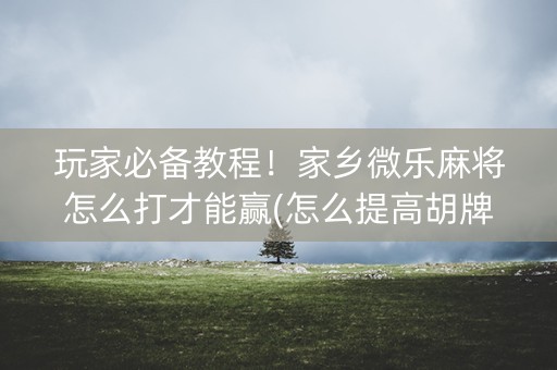 玩家必备教程！家乡微乐麻将怎么打才能赢(怎么提高胡牌率)
