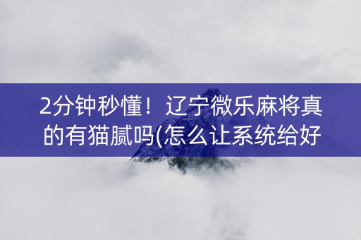 2分钟秒懂！辽宁微乐麻将真的有猫腻吗(怎么让系统给好牌)