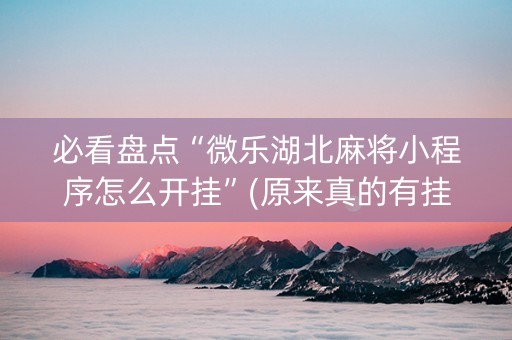 必看盘点“微乐湖北麻将小程序怎么开挂”(原来真的有挂)-抖音