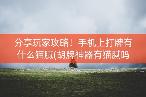 分享玩家攻略！手机上打牌有什么猫腻(胡牌神器有猫腻吗)