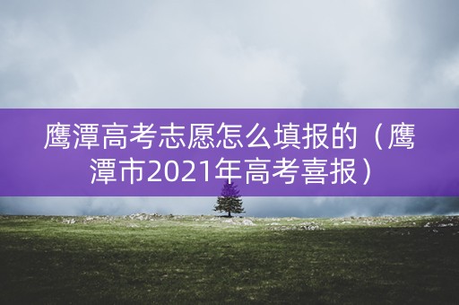 鹰潭高考志愿怎么填报的（鹰潭市2021年高考喜报）