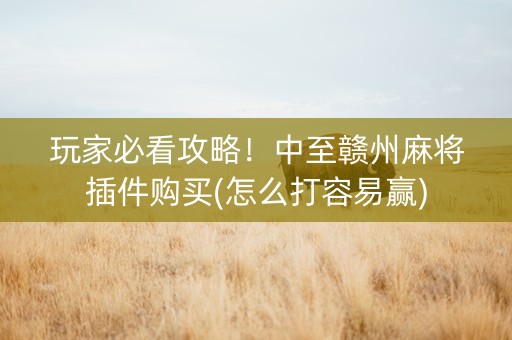 玩家必看攻略！中至赣州麻将插件购买(怎么打容易赢)
