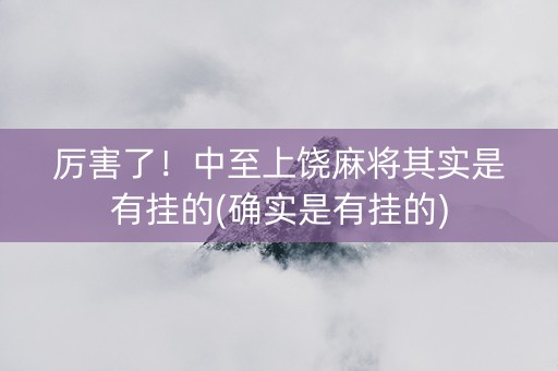厉害了！中至上饶麻将其实是有挂的(确实是有挂的)