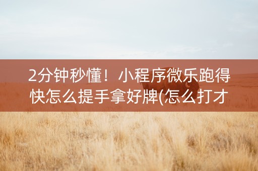 2分钟秒懂！小程序微乐跑得快怎么提手拿好牌(怎么打才会赢)