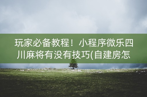 玩家必备教程！小程序微乐四川麻将有没有技巧(自建房怎么赢)