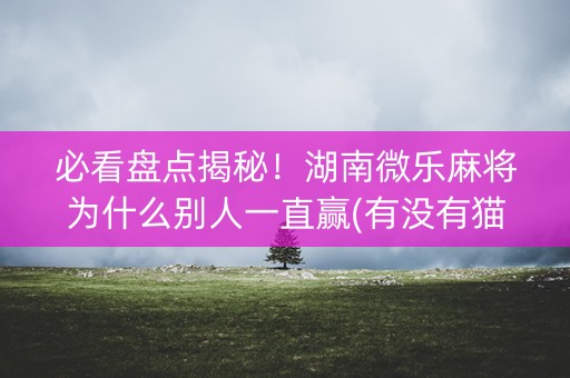 必看盘点揭秘！湖南微乐麻将为什么别人一直赢(有没有猫腻)