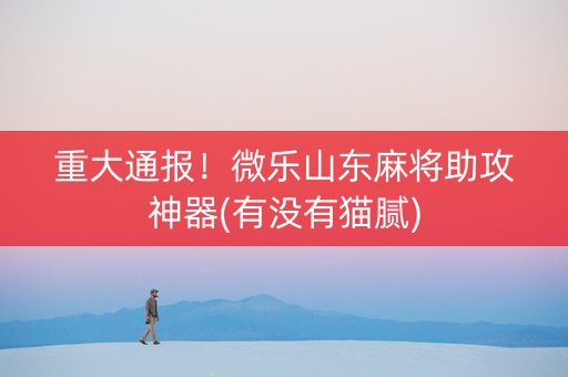重大通报！微乐山东麻将助攻神器(有没有猫腻)