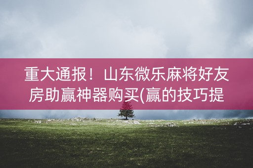 重大通报！山东微乐麻将好友房助赢神器购买(赢的技巧提高胜率)