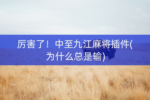 厉害了！中至九江麻将插件(为什么总是输)