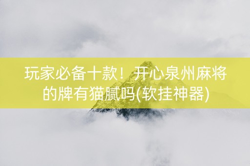 玩家必备十款！开心泉州麻将的牌有猫腻吗(软挂神器)
