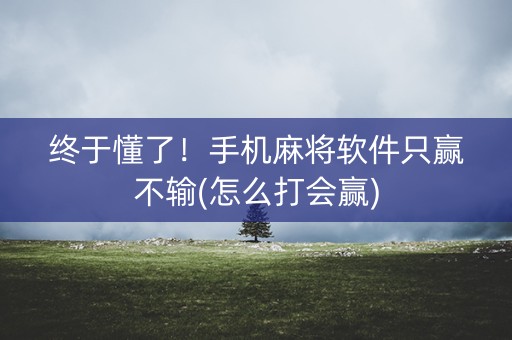终于懂了！手机麻将软件只赢不输(怎么打会赢)