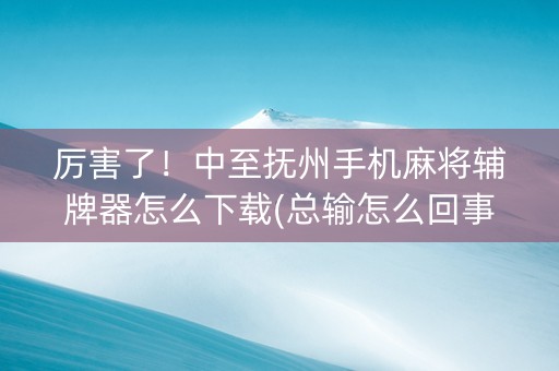 厉害了！中至抚州手机麻将辅牌器怎么下载(总输怎么回事)
