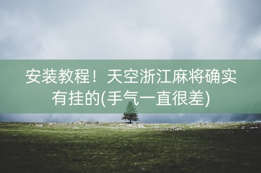 安装教程！天空浙江麻将确实有挂的(手气一直很差)