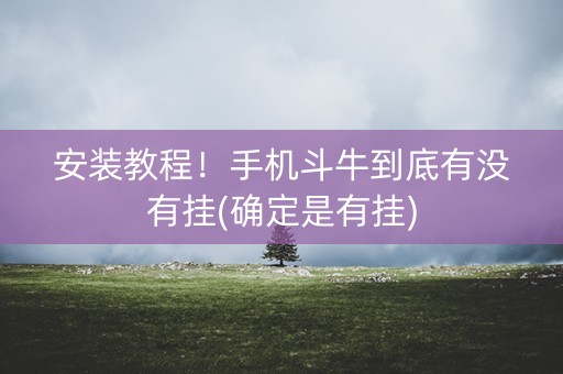 安装教程！手机斗牛到底有没有挂(确定是有挂)