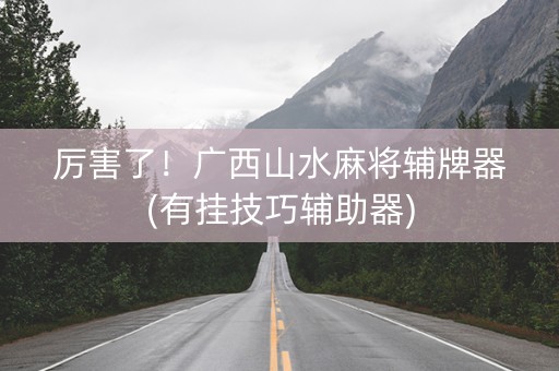 厉害了！广西山水麻将辅牌器(有挂技巧辅助器)