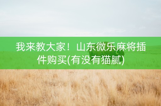 我来教大家！山东微乐麻将插件购买(有没有猫腻)