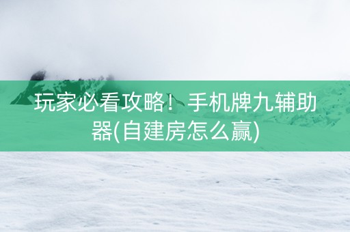 玩家必看攻略！手机牌九辅助器(自建房怎么赢)
