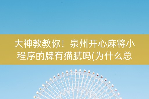 大神教教你！泉州开心麻将小程序的牌有猫腻吗(为什么总是输)