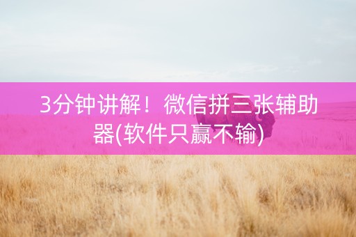 3分钟讲解！微信拼三张辅助器(软件只赢不输)