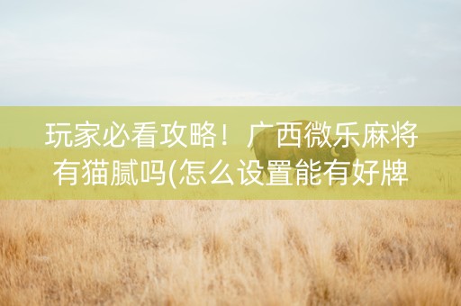玩家必看攻略！广西微乐麻将有猫腻吗(怎么设置能有好牌)