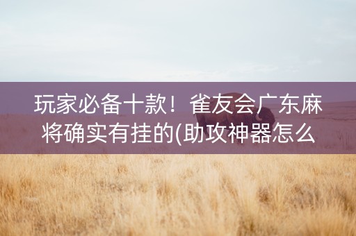 玩家必备十款！雀友会广东麻将确实有挂的(助攻神器怎么才会赢)