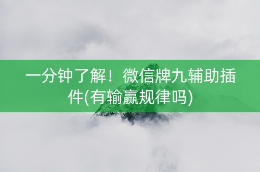 一分钟了解！微信牌九辅助插件(有输赢规律吗)