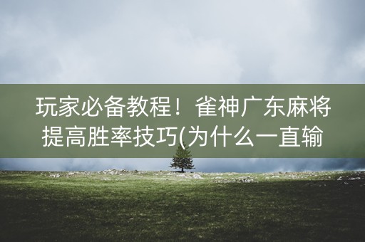 玩家必备教程！雀神广东麻将提高胜率技巧(为什么一直输)