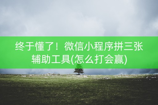 终于懂了！微信小程序拼三张辅助工具(怎么打会赢)