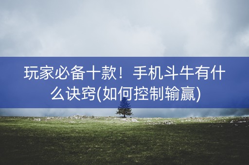 玩家必备十款！手机斗牛有什么诀窍(如何控制输赢)