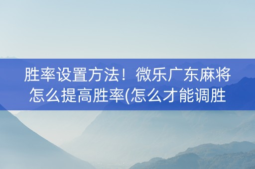 胜率设置方法！微乐广东麻将怎么提高胜率(怎么才能调胜率)